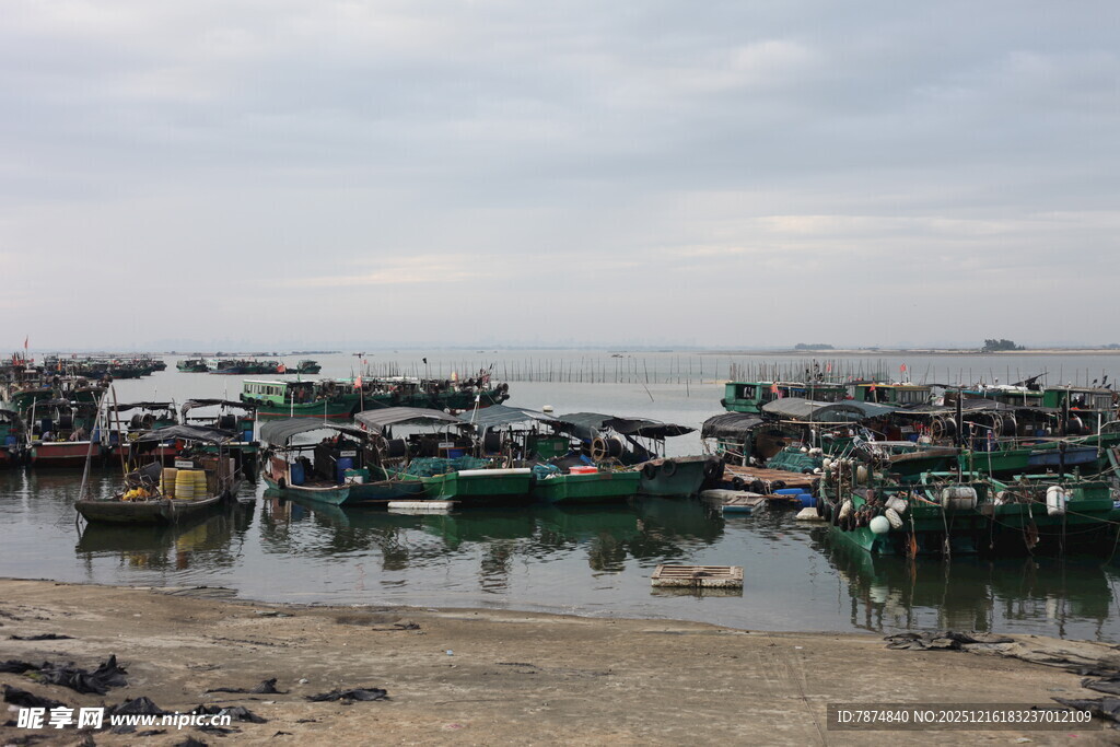 海边停泊的众多渔船