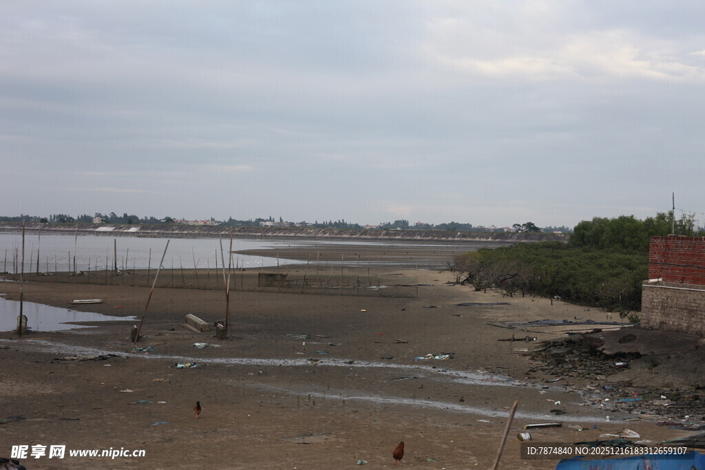 河岸滩涂景象