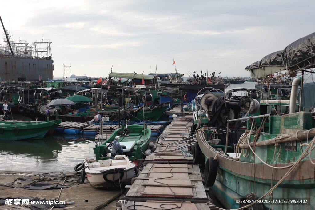 渔港码头景象