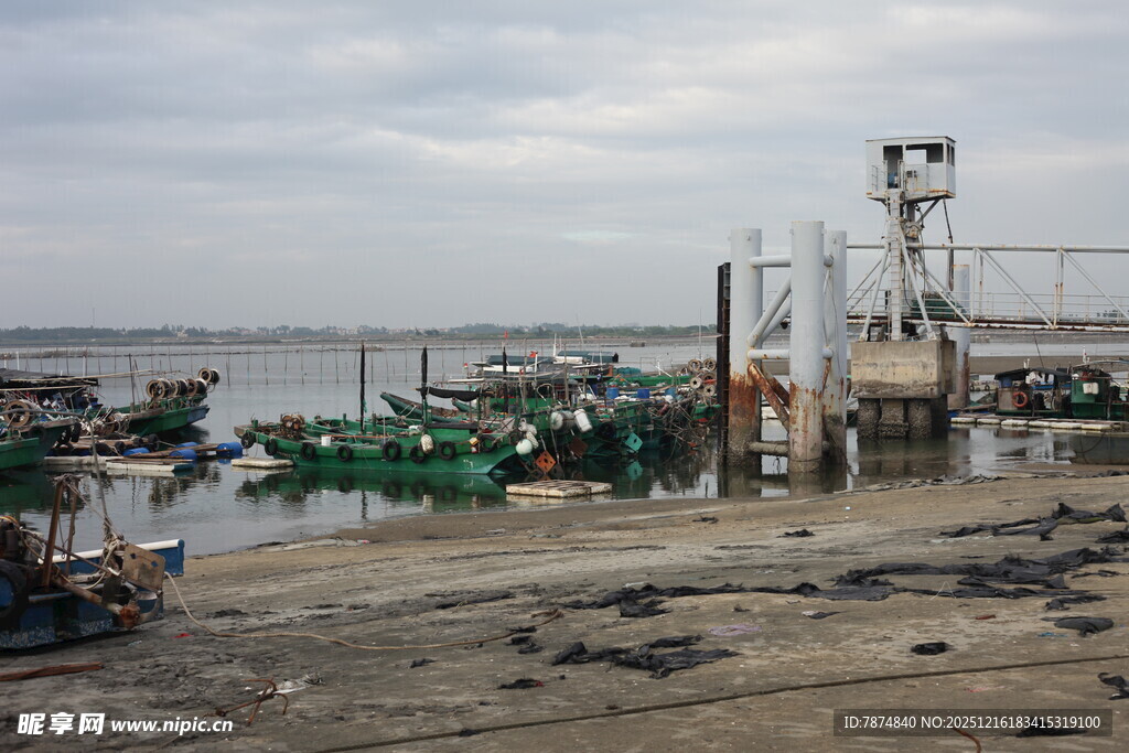 渔港码头景象
