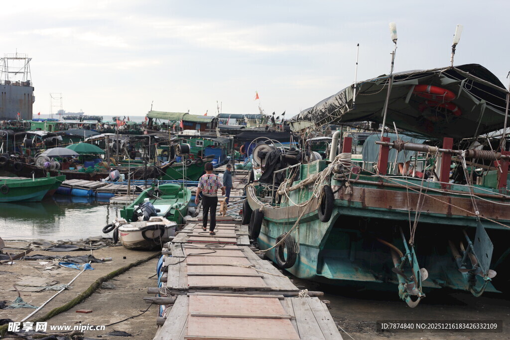 渔村码头的繁忙景象