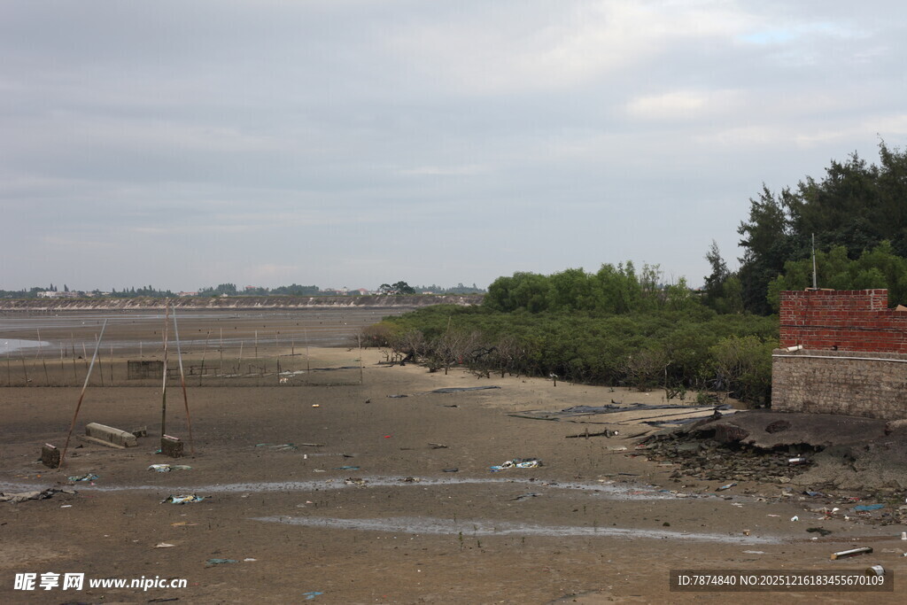 海边滩涂景象