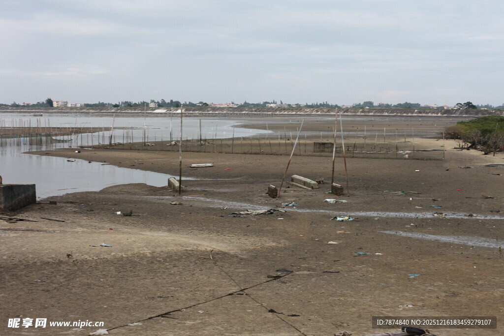 河岸滩涂景象