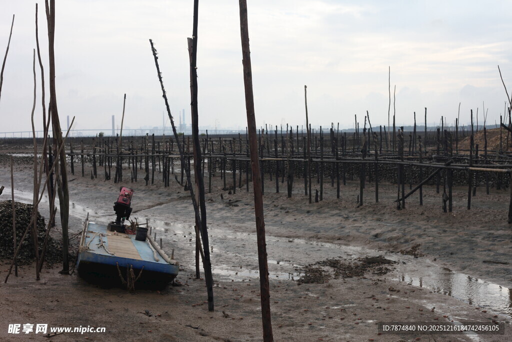 滩涂养殖场景