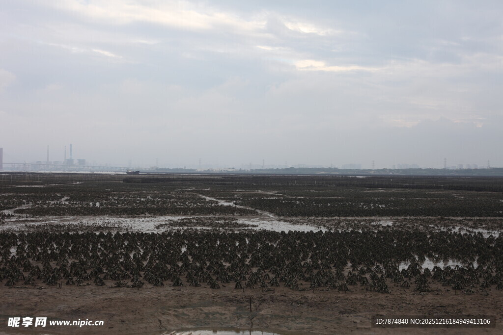 湿地鸟类栖息地