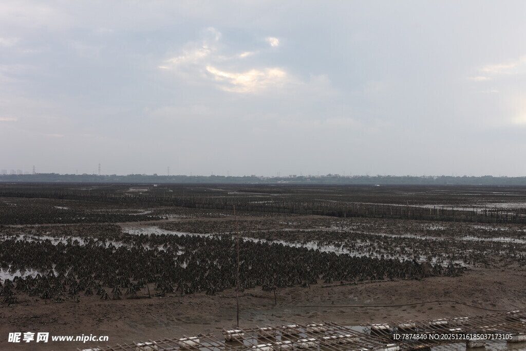 海边滩涂养殖景象