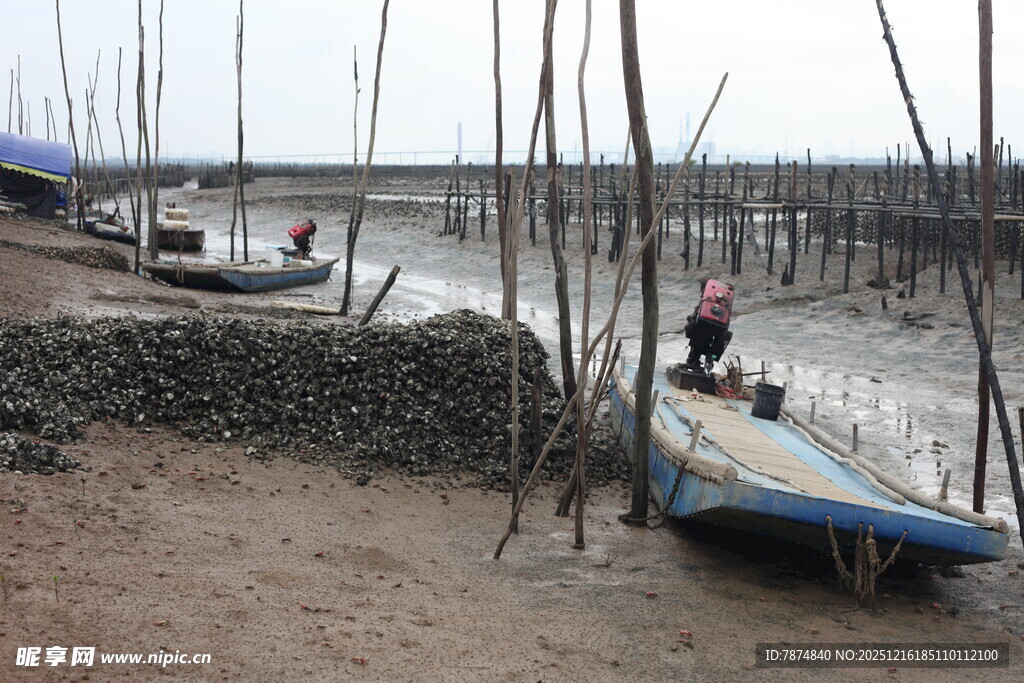 海边渔村的船只与劳作场景
