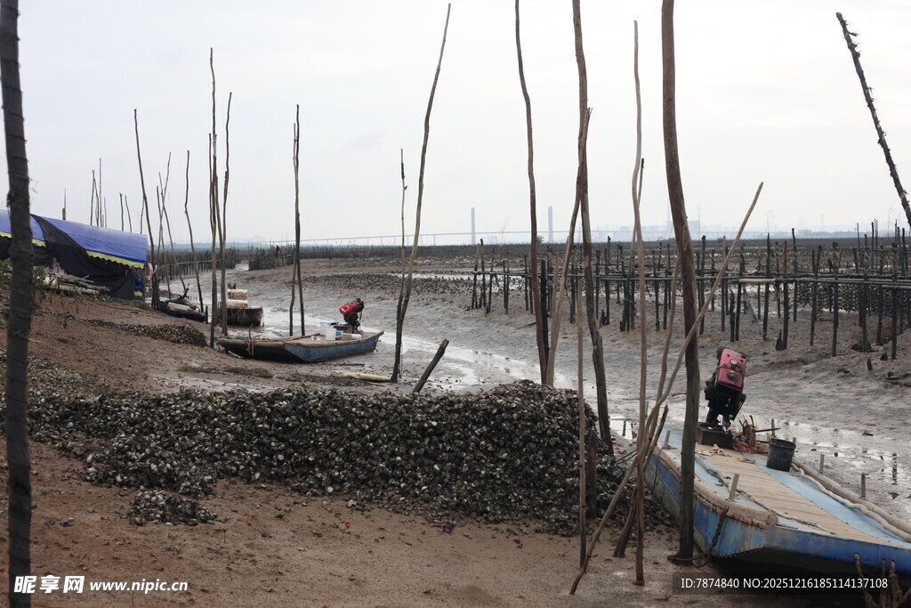 海边渔村码头景象