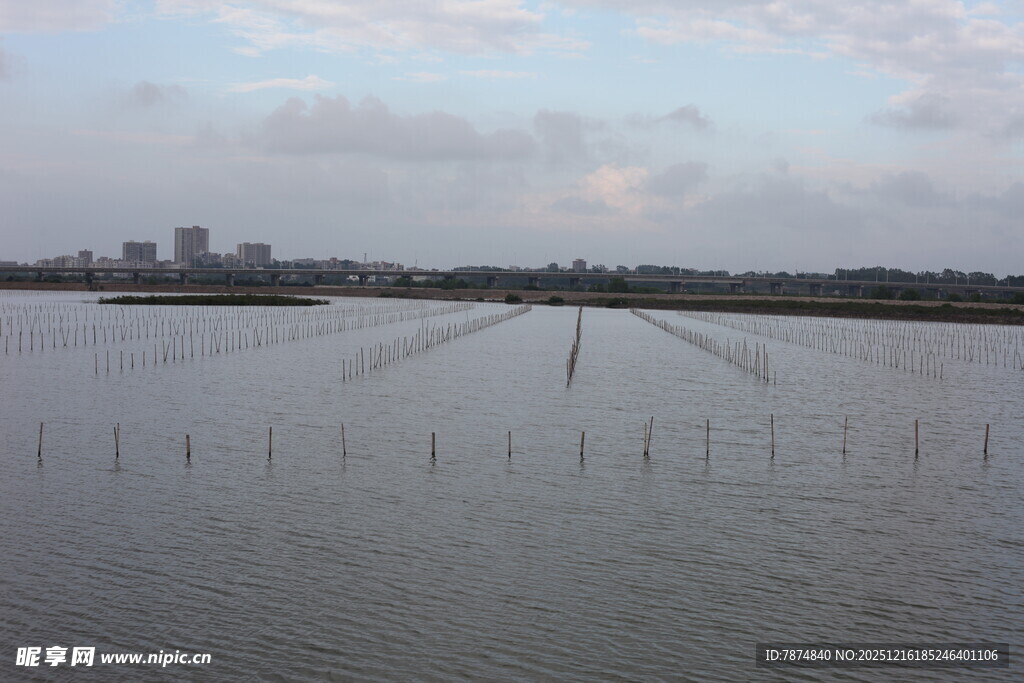 黄昏下的宁静水域景观