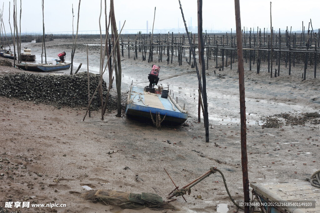 滩涂渔民驾船劳作场景