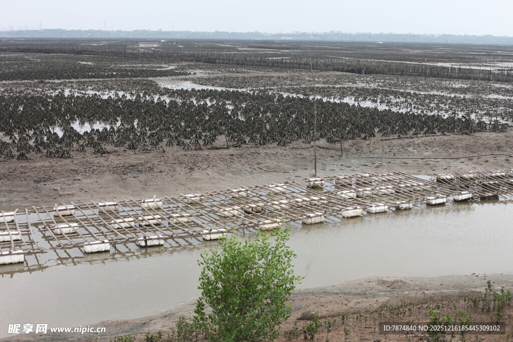 水上船只停泊场景