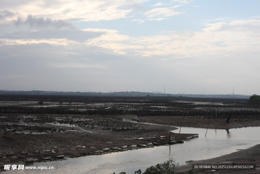 河畔孤影 宁静旷野风光