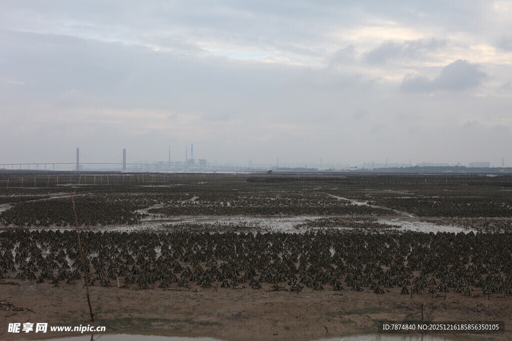 湿地景观 稀疏植被与水域