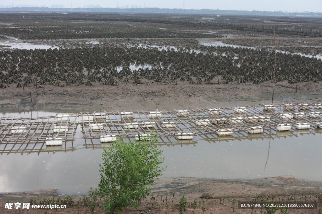 河畔停泊的船只景观