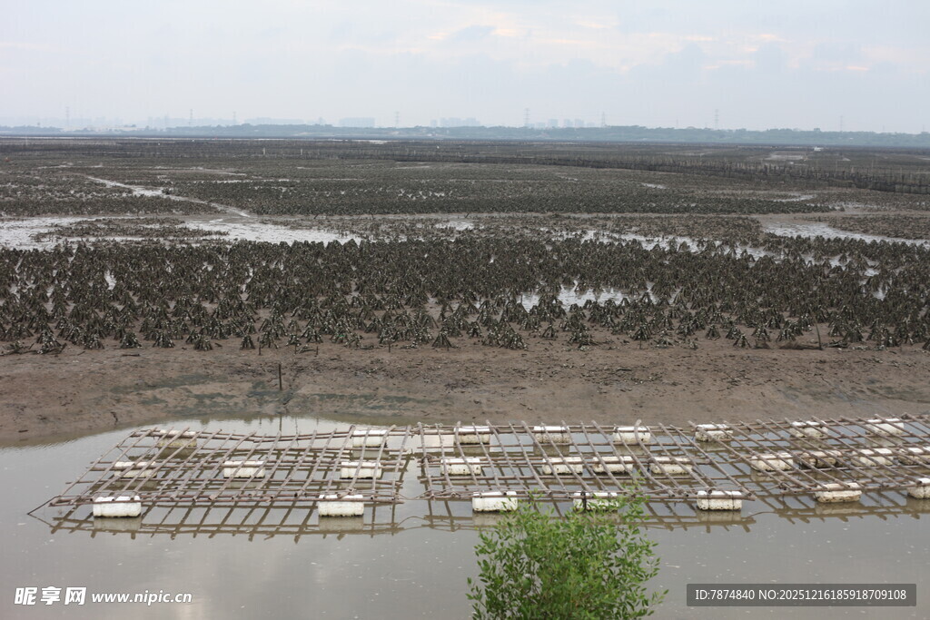 水上建筑群景观