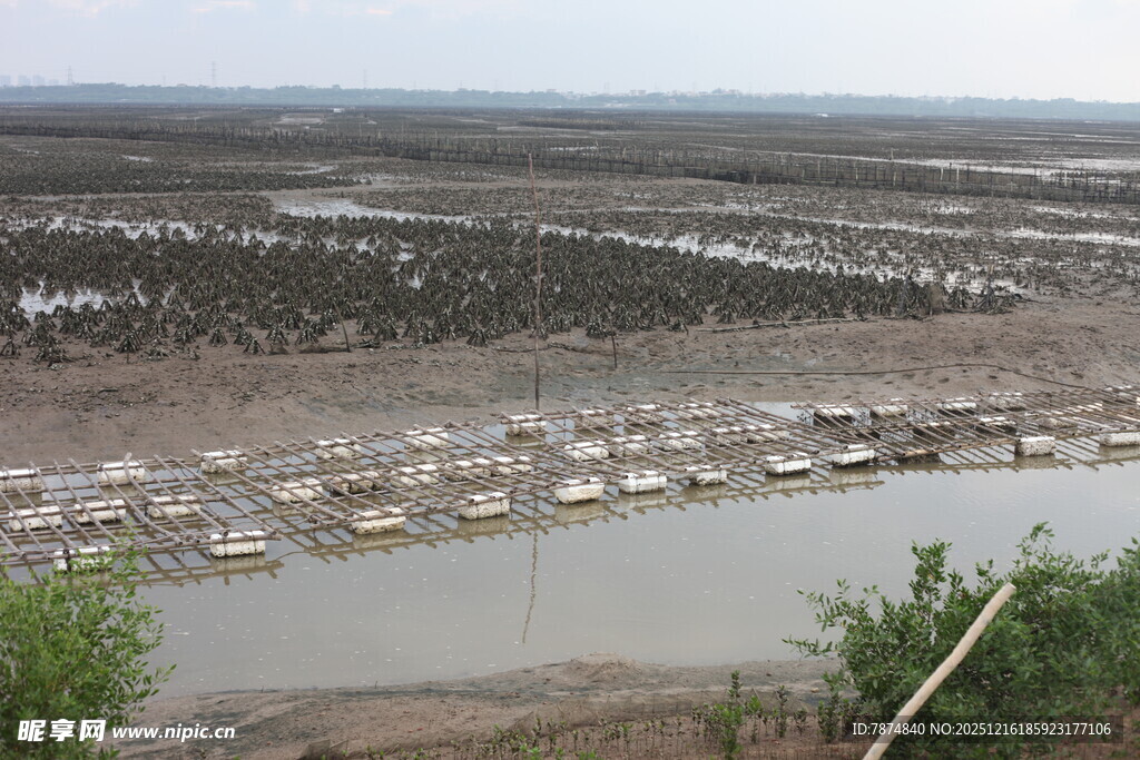 滩涂渔村景象