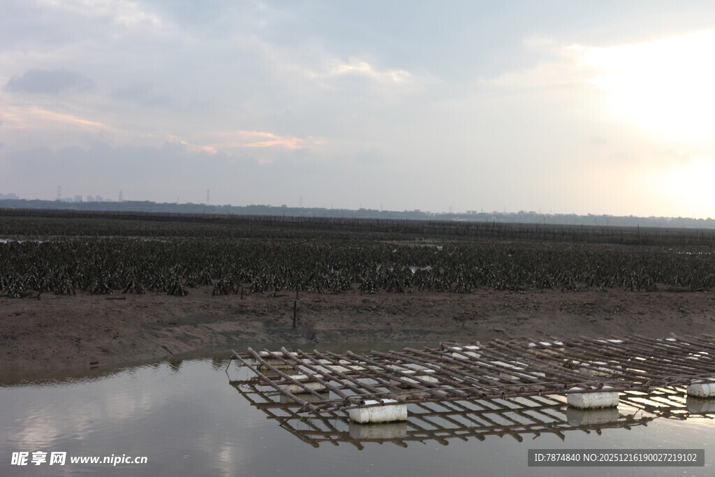 夕阳下的水上养殖场景