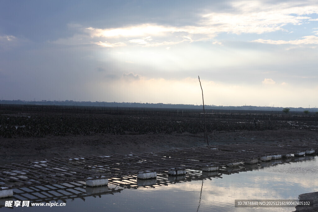城市天际线与逆光建筑景观