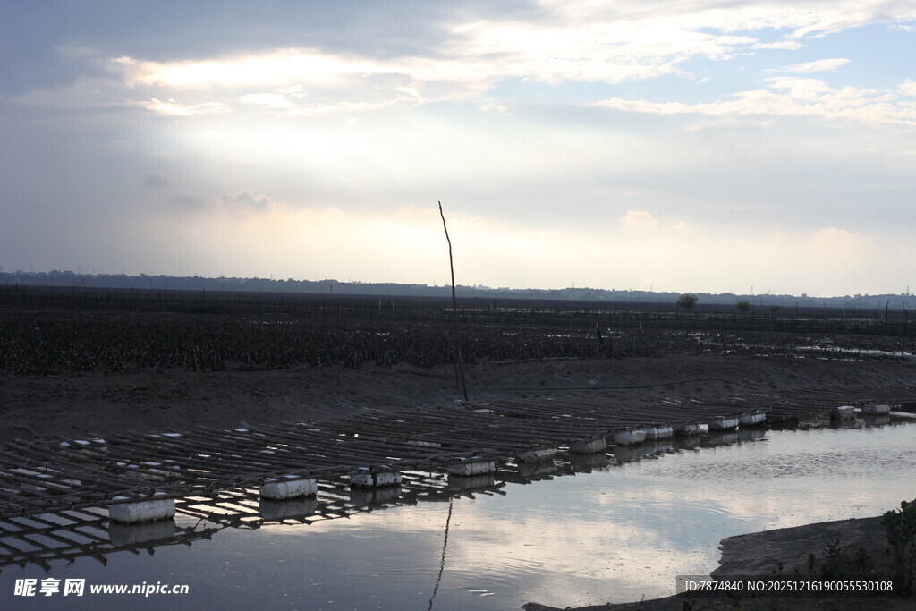 黄昏下的宁静水域景观