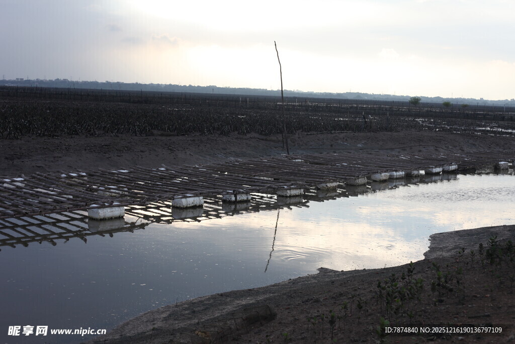 黄昏下的静谧水边景象