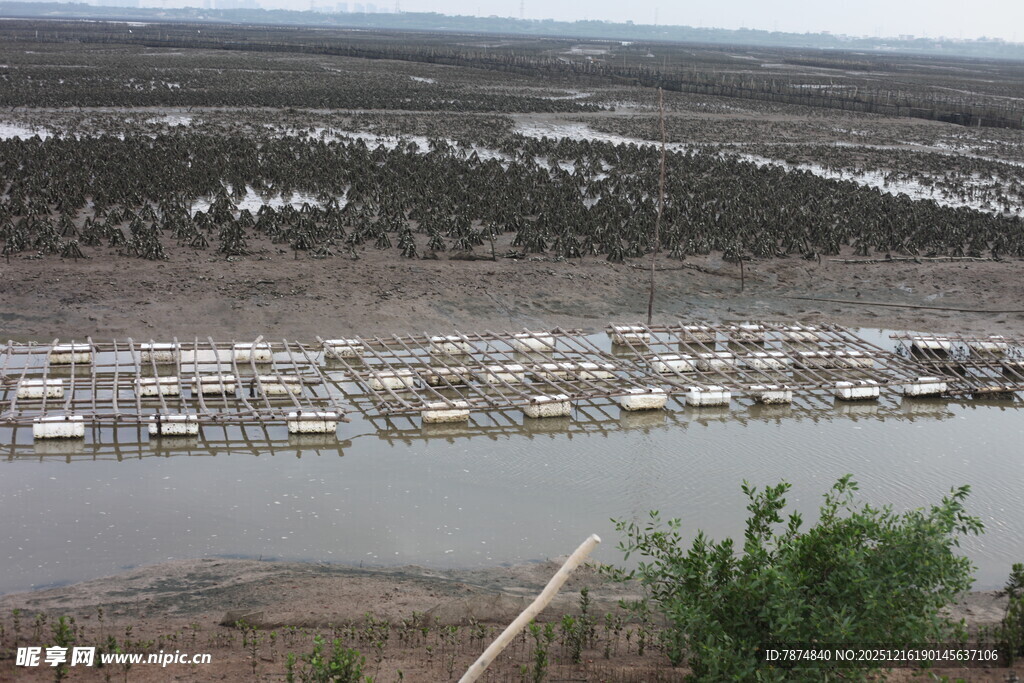 河畔停泊的船只景观