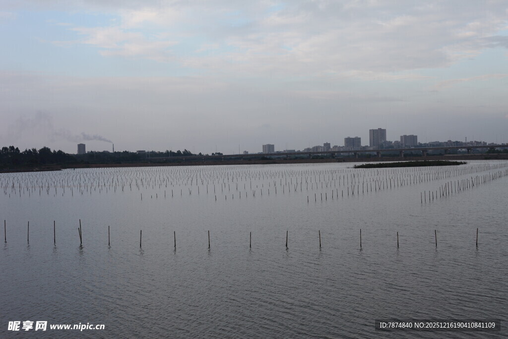 宁静湖面与远处城市景观