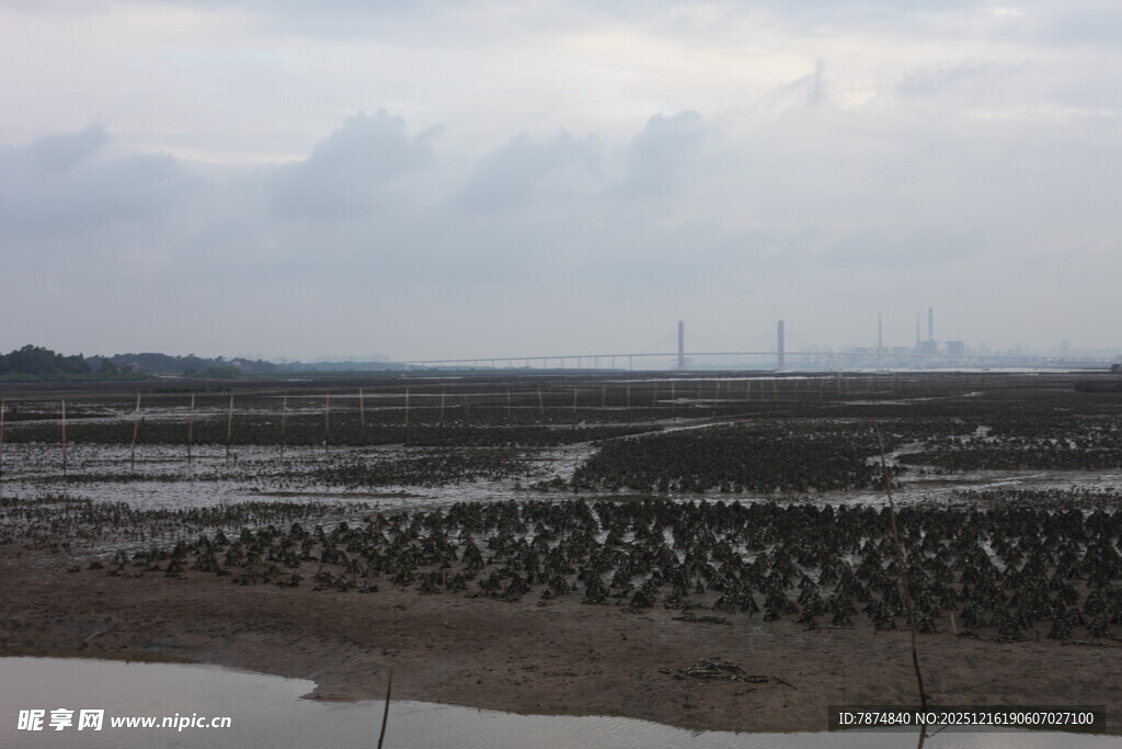 海边滩涂养殖景象