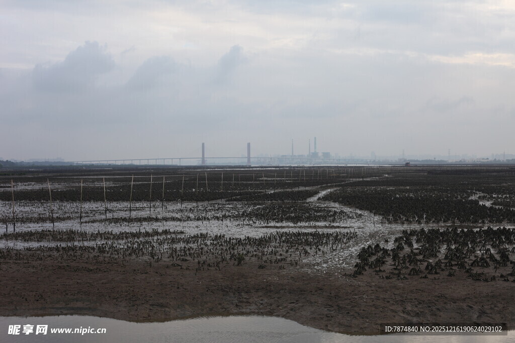 湿地风光 水域与滩涂景致