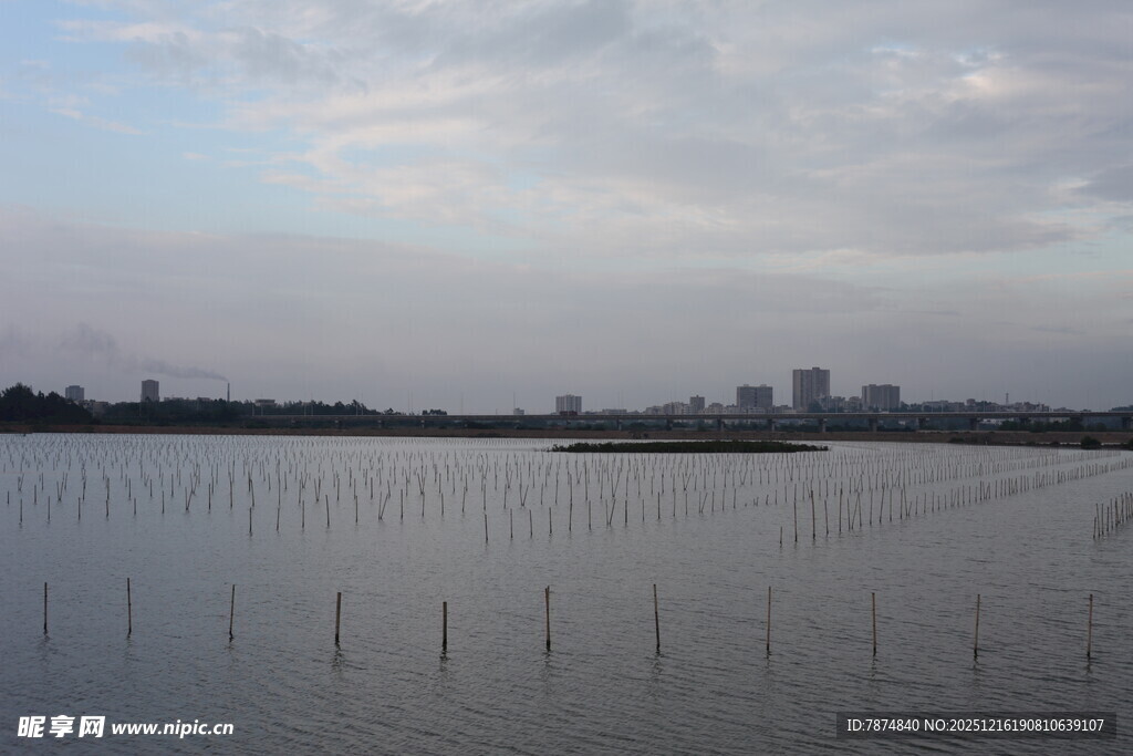 广阔水域与远处城市景观
