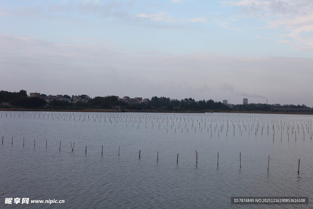 宁静湖面与远方树木景观