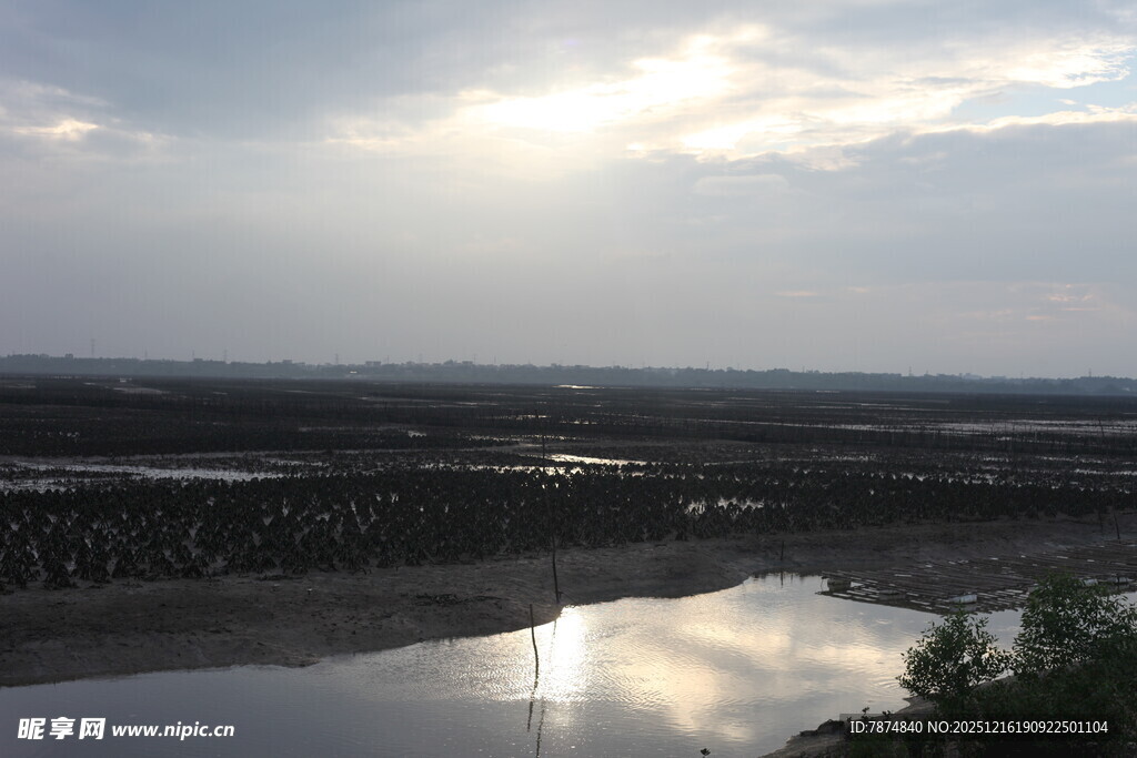 黄昏下的宁静水域景观