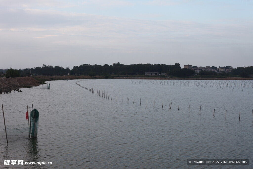 宁静水域与远处植被景观