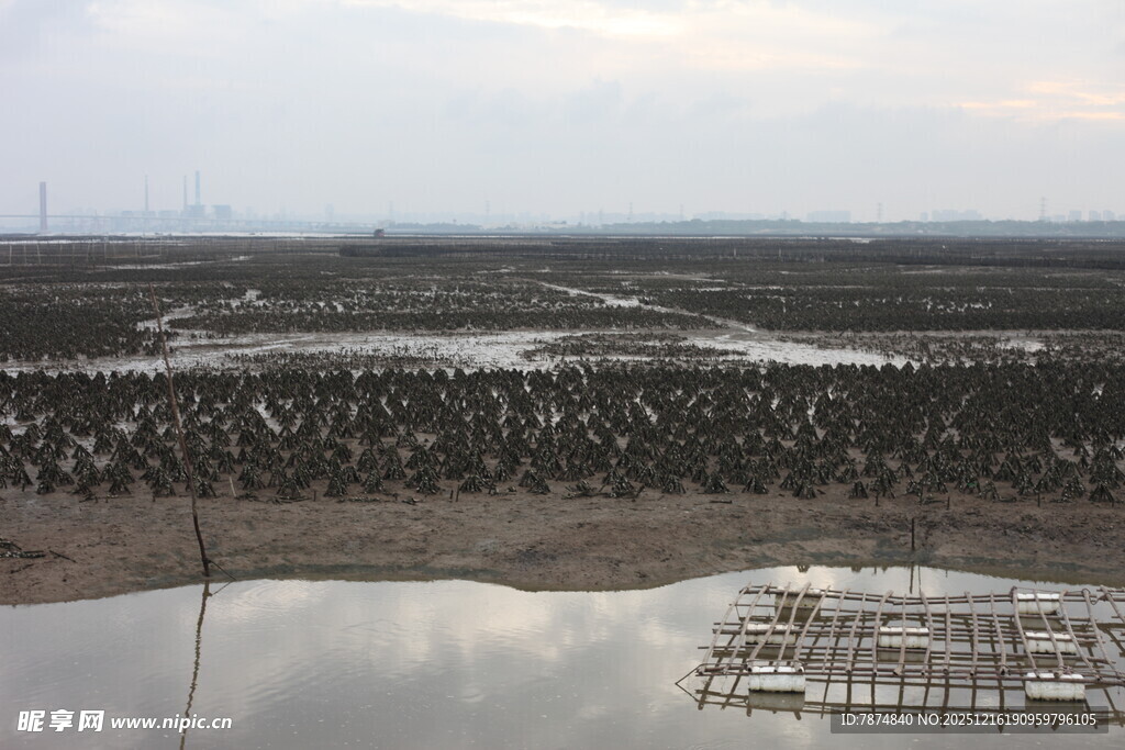 湿地景观中的养殖设施