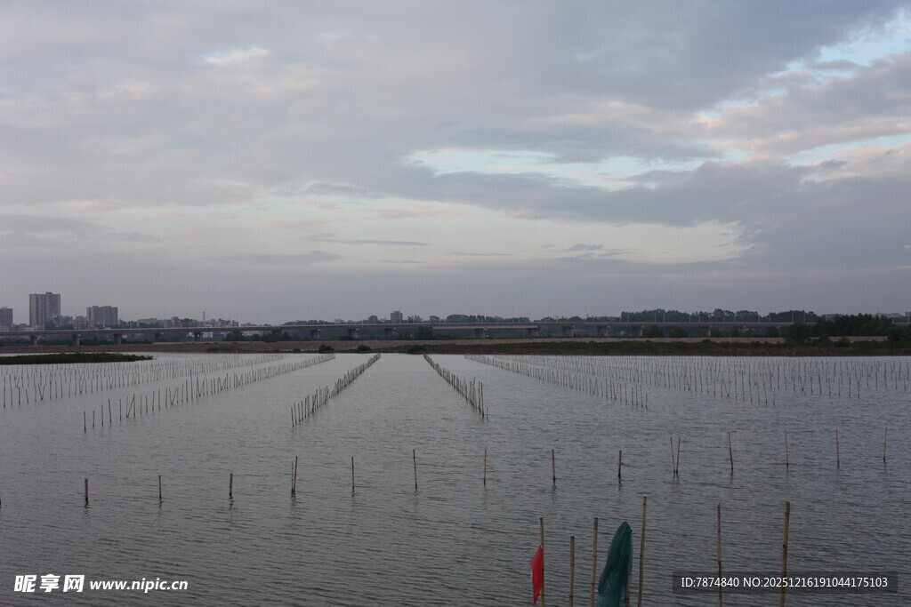 湖畔风光 宁静开阔水域