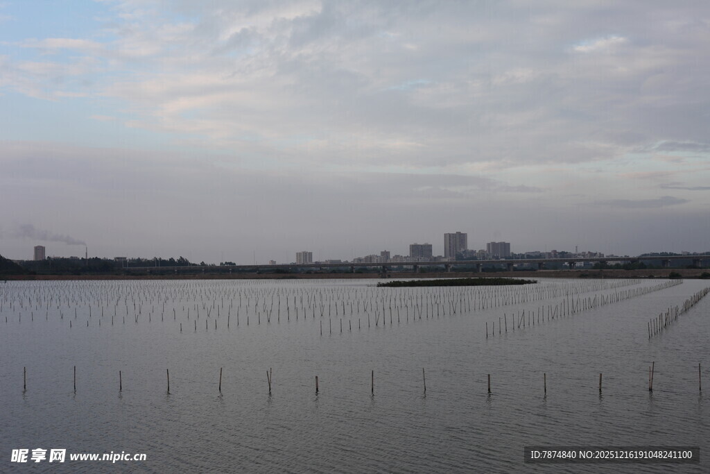 湖畔远景 宁静自然风光