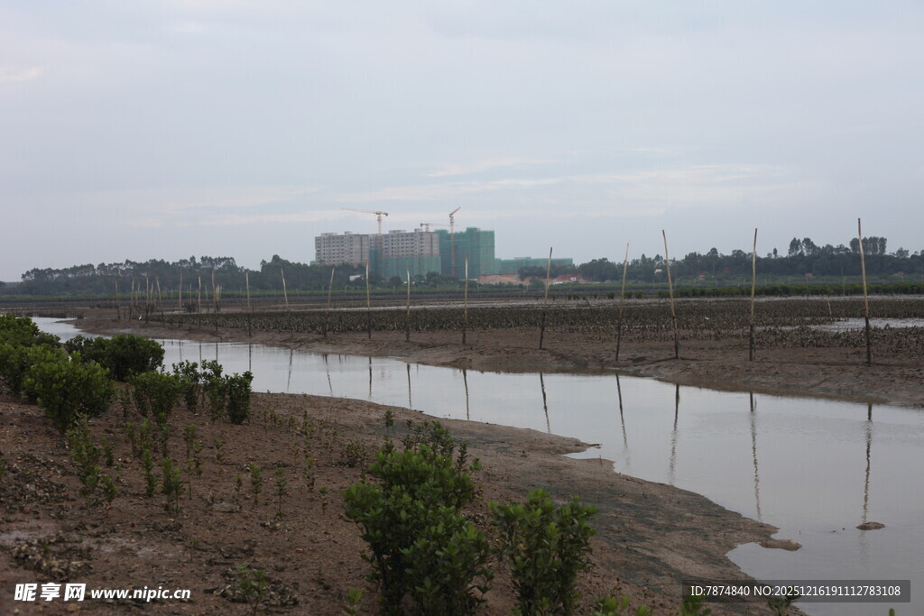 河畔风景 远处建筑朦胧