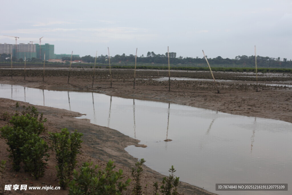 乡村水田风光景色