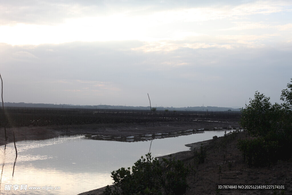 黄昏下宁静的河畔风光