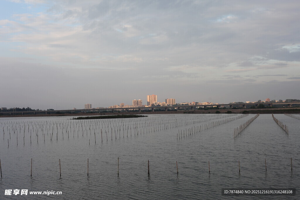 黄昏下的宁静水域景观