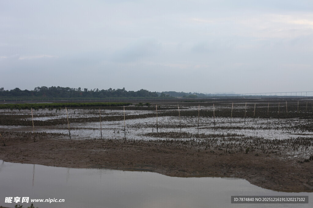 湿地景观 宁静水域与泥滩