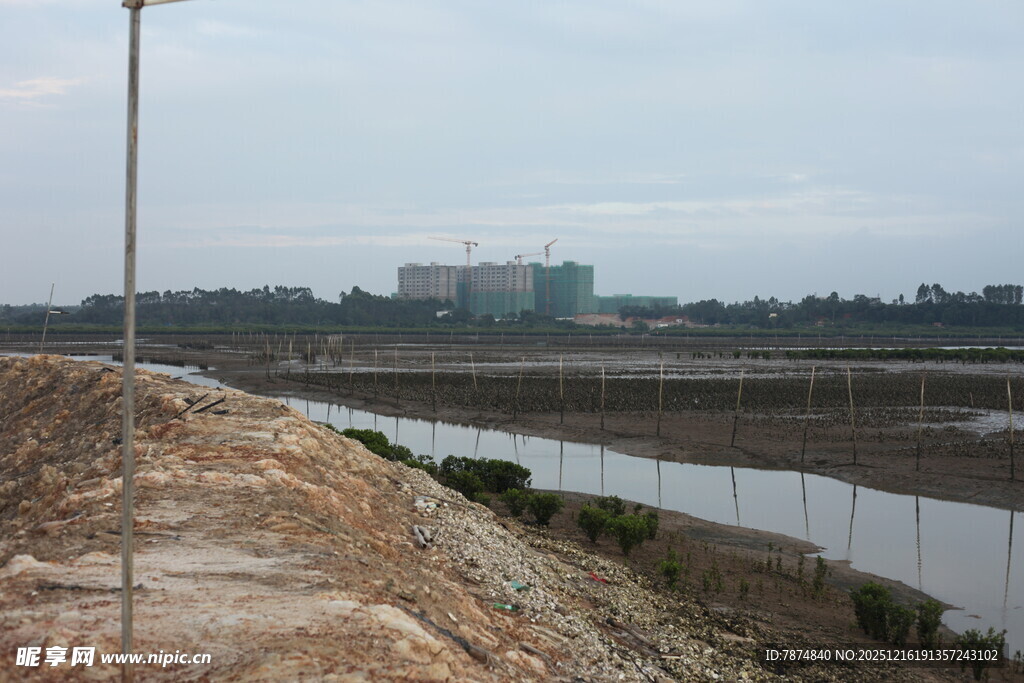 郊外田野与远处建筑景观