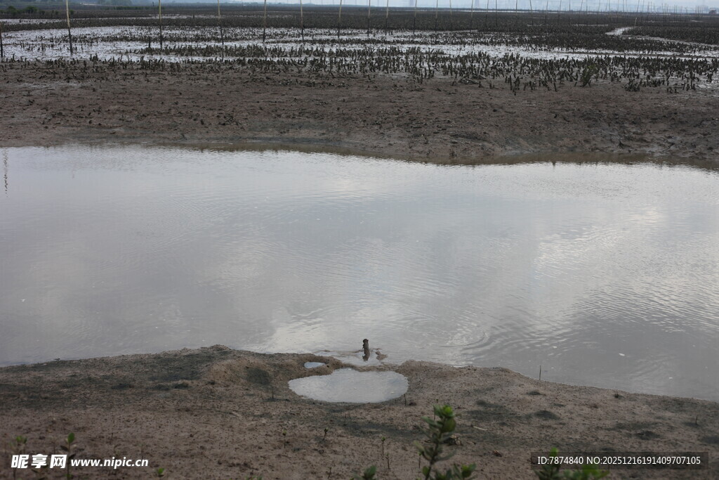 荒漠中的静谧水域