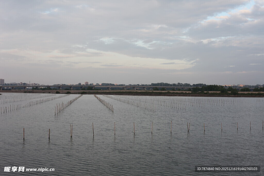 水域中的整齐排列设施