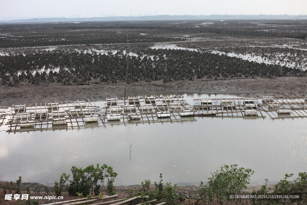 湖畔停泊的船只景观