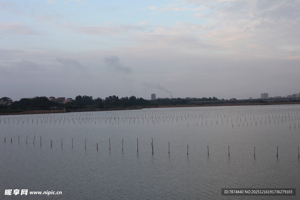 湖畔暮色中的宁静水域