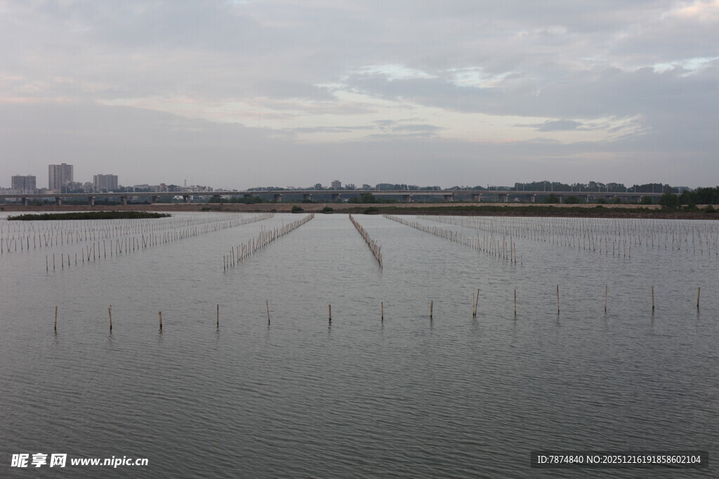 湖畔城市风光远景