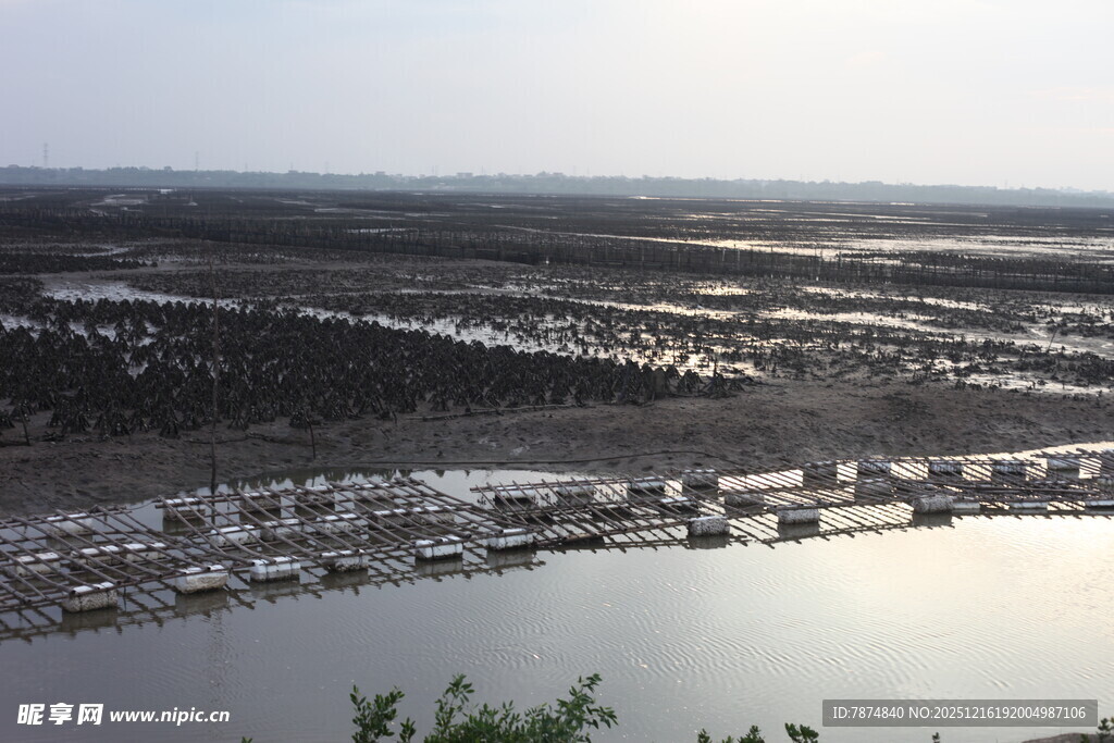 俯瞰水域旁的建筑景观