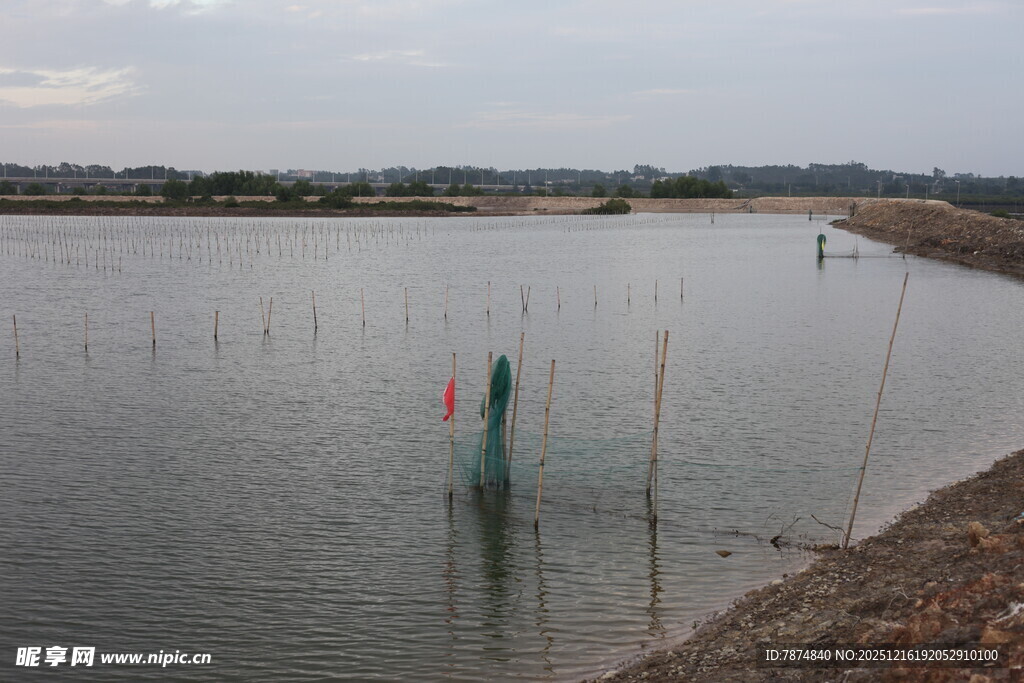 宁静水边的简易渔具场景