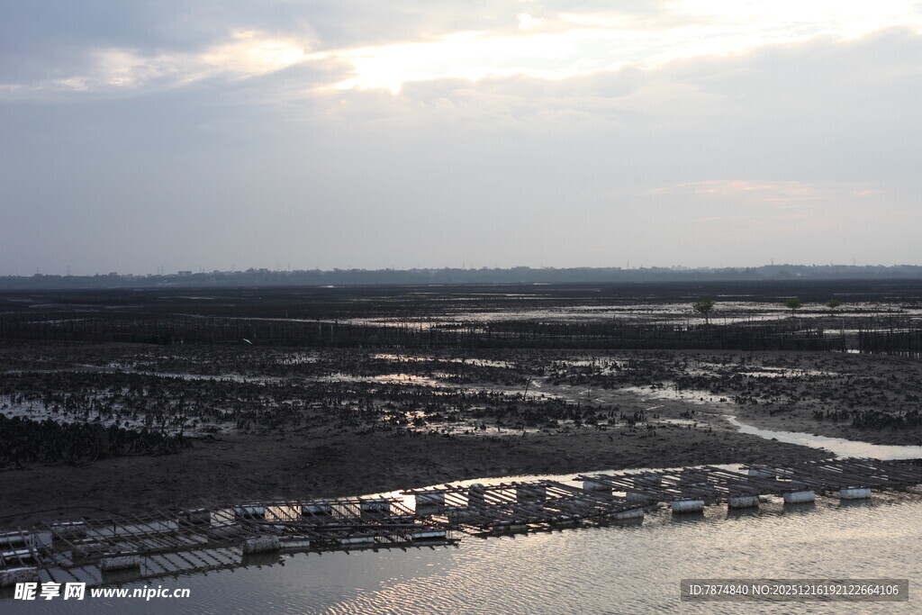俯瞰水域旁的开阔地貌