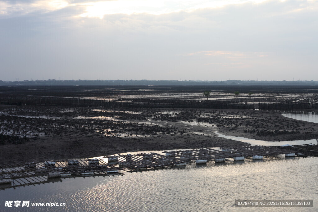 俯瞰水域旁的城市景观